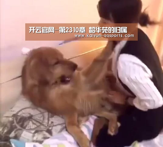 开云官网-第2310章 韶华苑的归属(图3) 开云综合服务